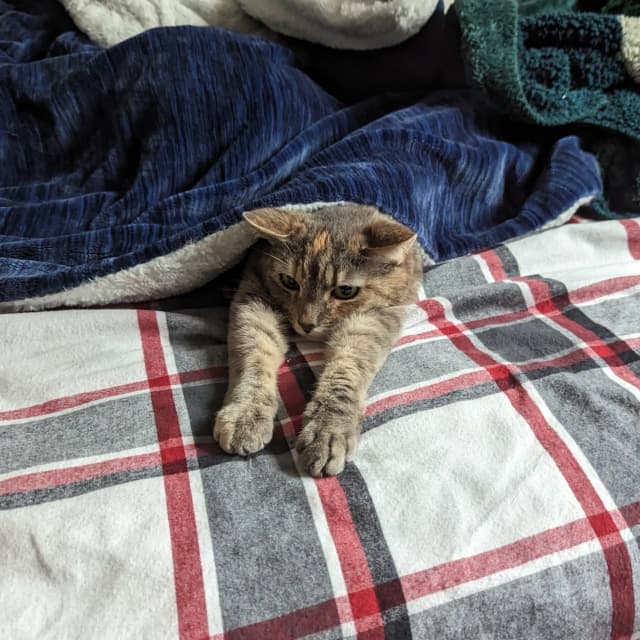 Isn't she adorable! 😊