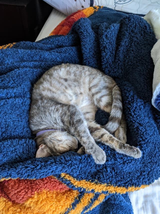 Isn't she adorable! 😊