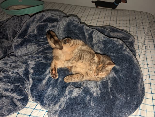 Isn't she adorable! 😊