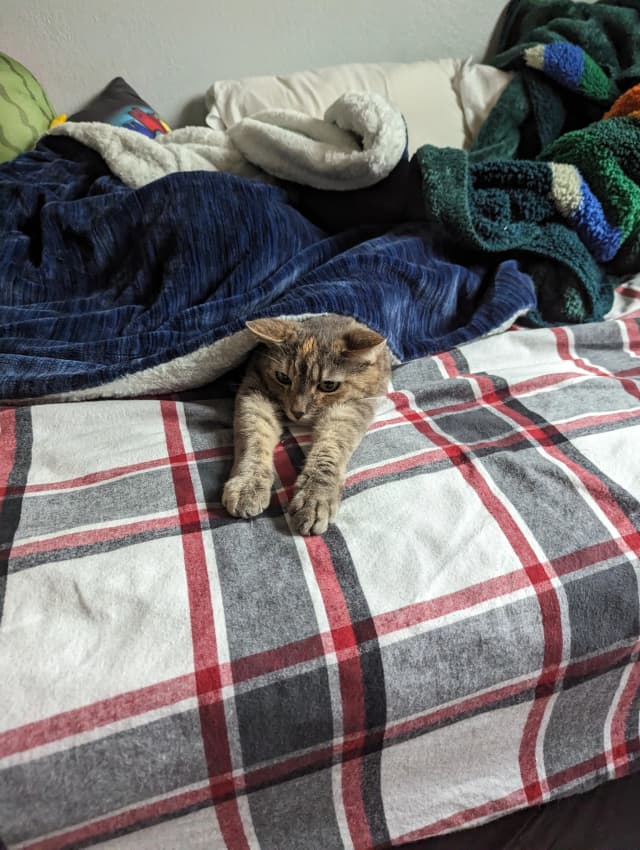 Isn't she adorable! 😊