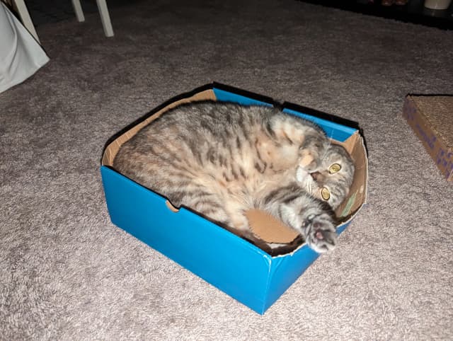 Isn't she adorable! 😊