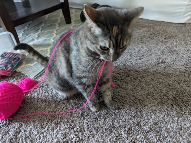 Isn't she adorable! 😊