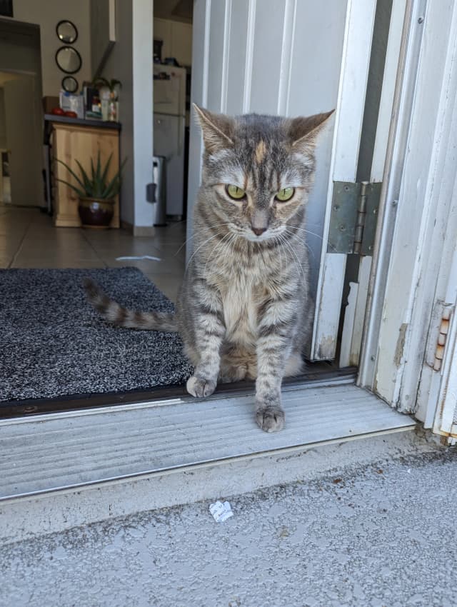 Isn't she adorable! 😊