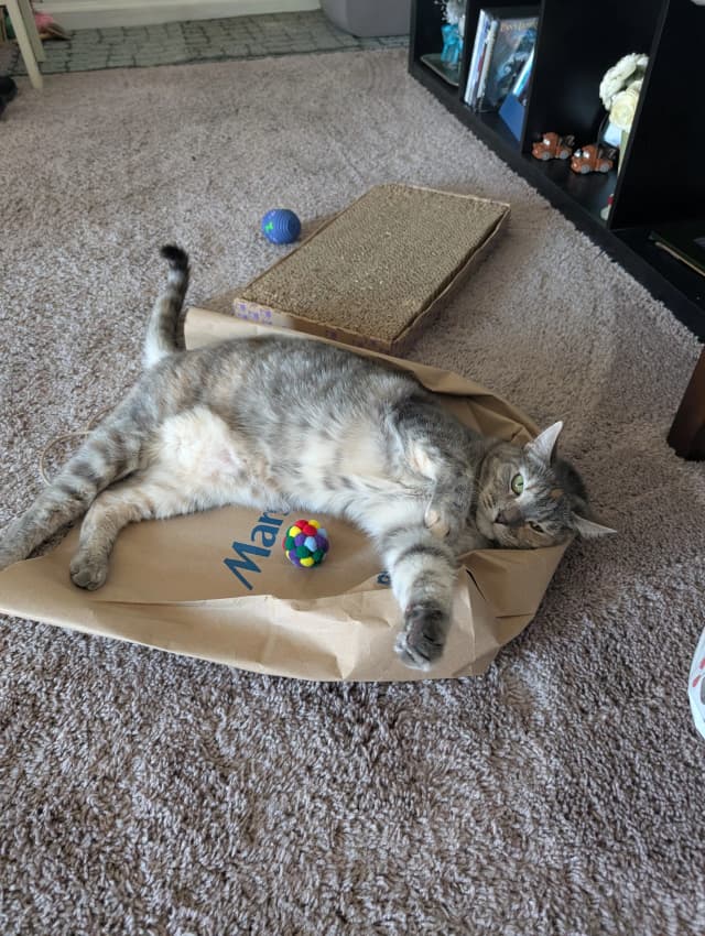 Isn't she adorable! 😊