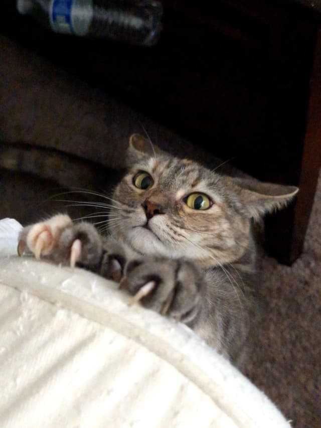 Isn't she adorable! 😊