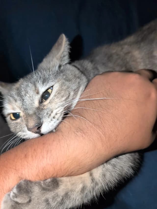 Isn't she adorable! 😊