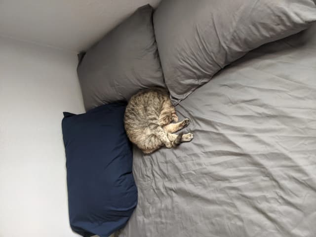 Isn't she adorable! 😊