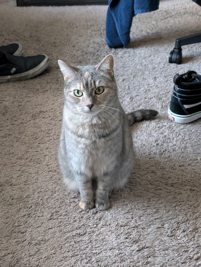 Isn't she adorable! 😊