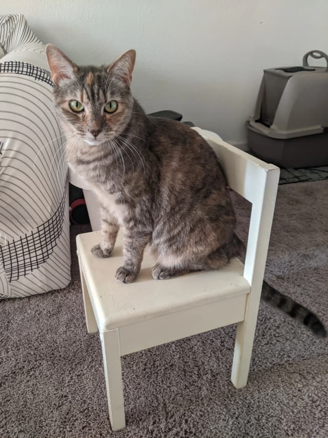 Isn't she adorable! 😊