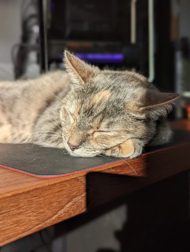 Isn't she adorable! 😊