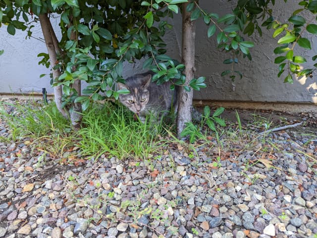 Isn't she adorable! 😊