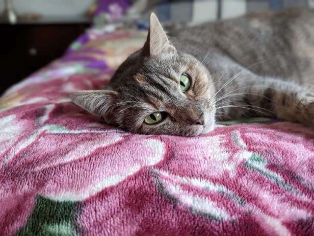 Isn't she adorable! 😊