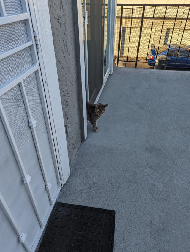 Isn't she adorable! 😊