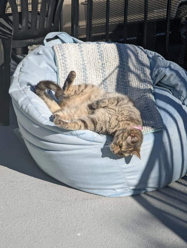 Isn't she adorable! 😊