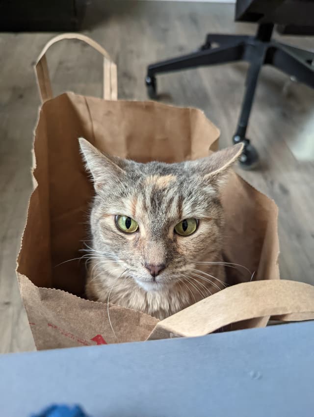 Isn't she adorable! 😊